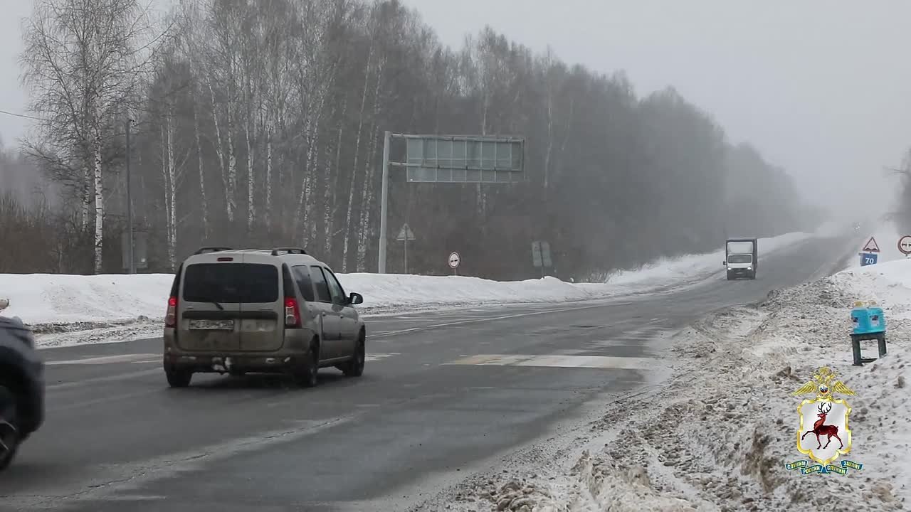 Помощь пришла вовремя: Нижегородка поблагодарила сотрудников Госавтоинспекции за спасение на заснеженной трассе