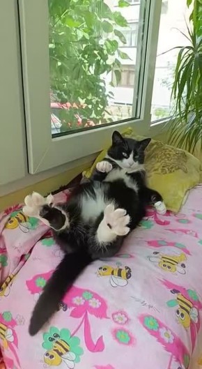 ������ ����! ������� �������