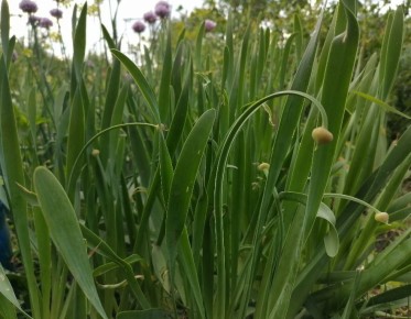 ��� ������: ��� ��������� �������� � �������� �������� � ����