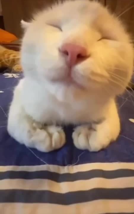 Устали за недельку, пора отдохнуть