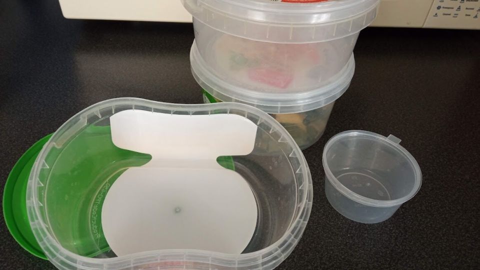 Как пластиковые упаковки превращаются в многофункциональные помощники в быту