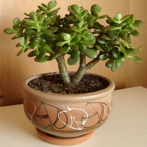 ��� ��������� ������ ��� �������� ������?