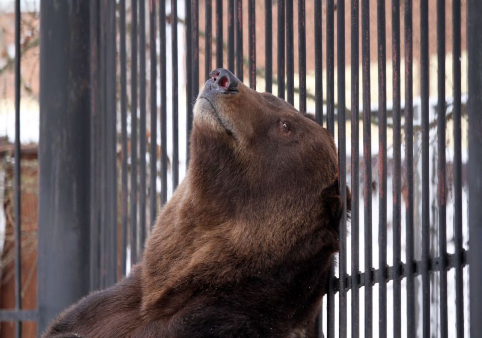 ������ ���������� �� ���� ���������! ����� ����� ���������� � �������� �������� � ���� � ���� ����� ������ ������ �������