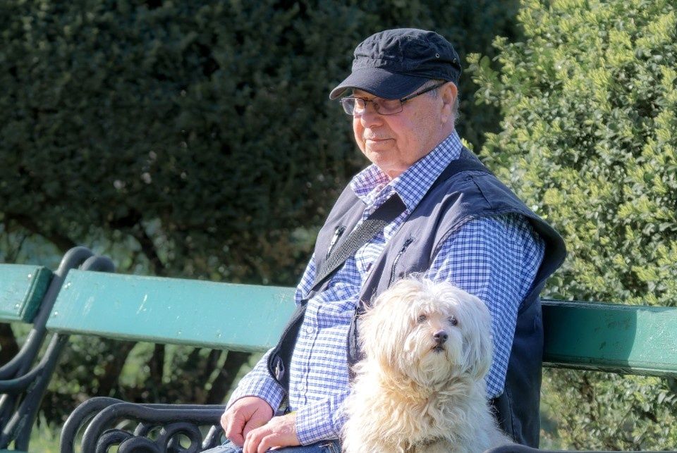 Что делать, если социальный фонд не принял часть стажа для пенсии