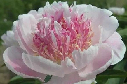 ���� �� ����: ����� �������� � ���� �� ���