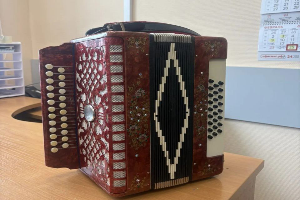 В Муроме транспортные полицейские раскрыли кражу музыкального инструмента