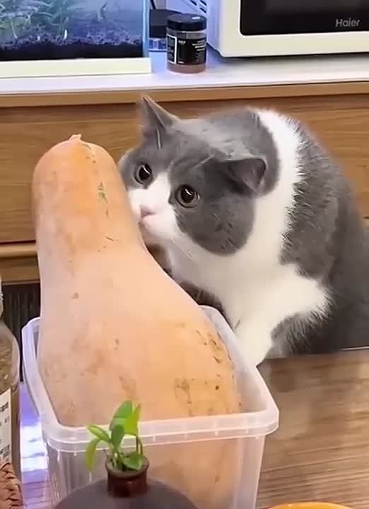 ������ ����, ������� ����������!