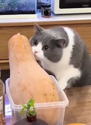 ������ ����, ������� ����������!