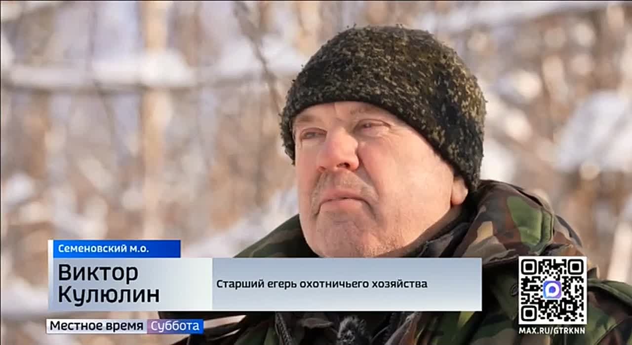 Ежегодный зимний учет диких животных в Нижегородской области продолжается