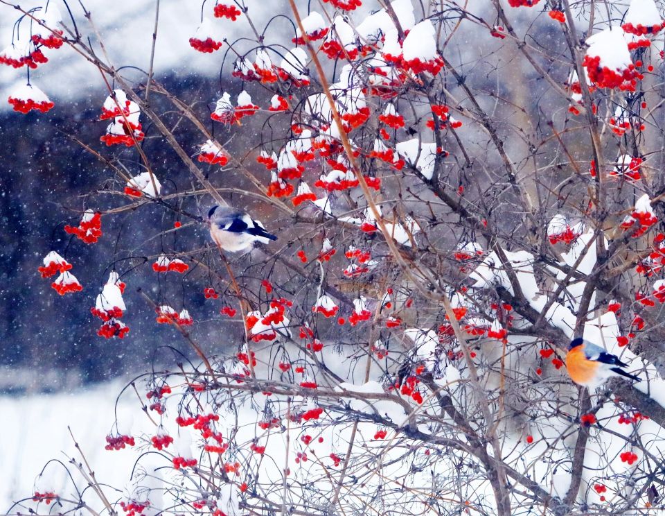 ������� ������� ���� ��� �� ������ �� ������������� �������!