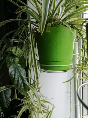 ���������� ���������: ��� ���������� ���� ����������� ��� ��������� � ������