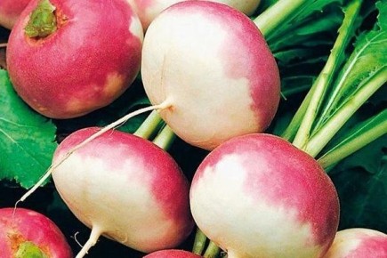 ��������� ������� ����: ������� ����������� � �������� ��������