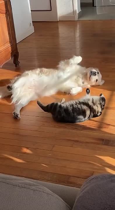 �����������, ��������� � ��������� �����!