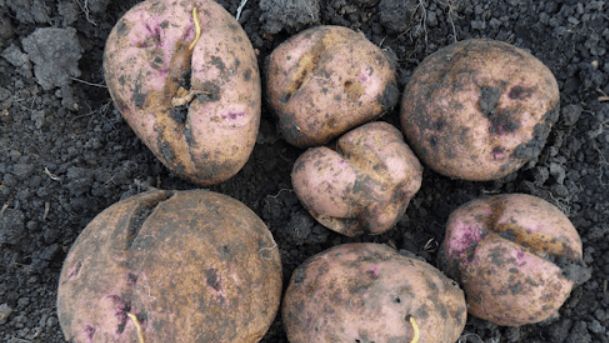 ������� ��������� ������� ������ � �������������: ����������� ������� ��� �������