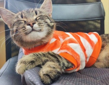 ������: ������������� �������� �������� ����� ��������� �����������