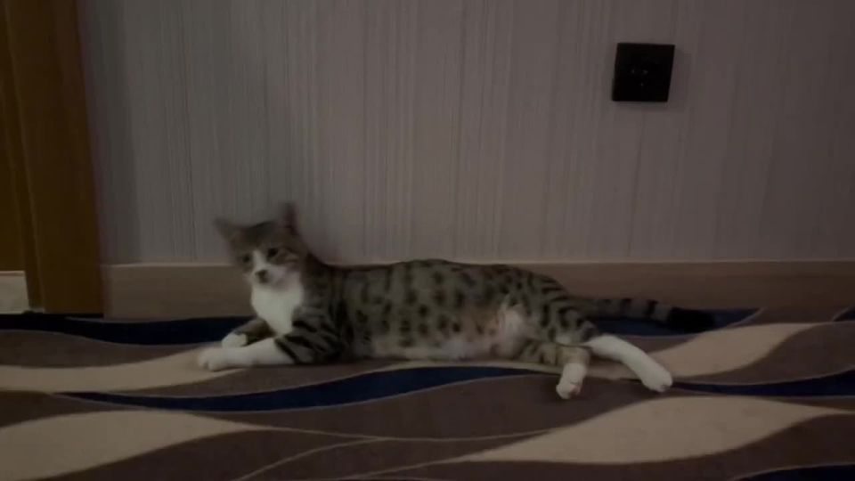 � � �� ��� ������ �� ������������� ������� ���������� � ������, ������� ����� ������ � �������� ������ �������