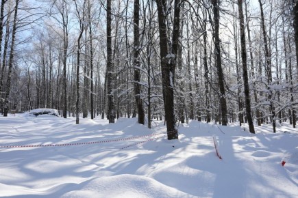 Цифра дня - 71 Статистика пропавших в Нижегородской области за февраль: 71 человек найден живым