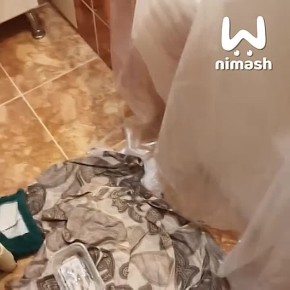 ����� ��� ����� ������ ���� � ������ ����� ����� ����� ��� ������