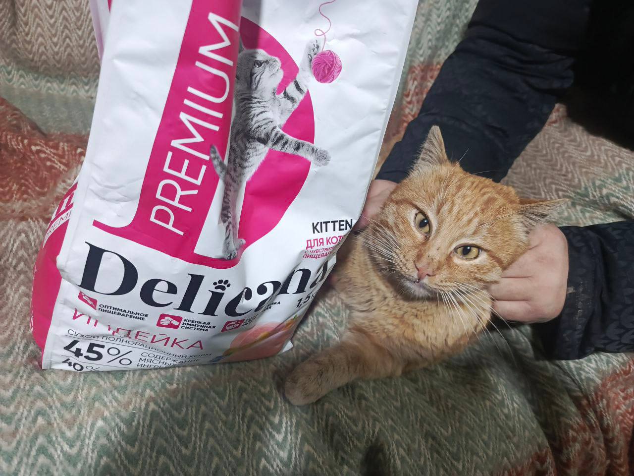 А вы знали, что на Донбассе есть свои «пушистые подразделения»? А вы знали, что на Донбассе есть свои «пушистые подразделения»?