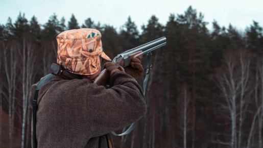 ������ ����� ����� ���������� � ������������� �������