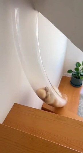 � �� ��� ����������?. ������ ����! �������� ������� ������� ������� �������: VK | MAX