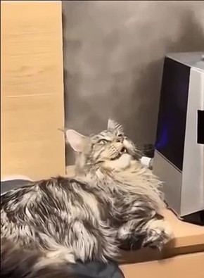 Пришло время отдохнуть. Наш админчик наберется сил и вернется к вам уже завтра