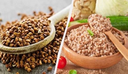 ������ ��������� ������: ��� �������� � ���� ��� ������������ �������