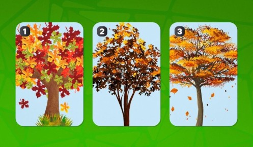 ��� ��� ������� ����������� ������ �� ��������� � �������