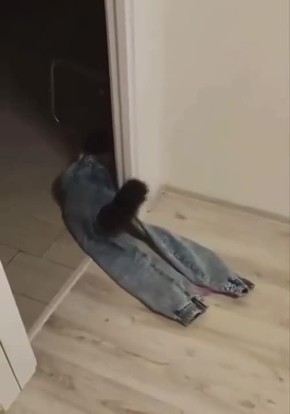 �� �� ������... ��������� ���� ���������