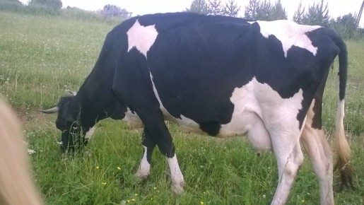 ������������������ ������: ��������� ����� ��� ������ ���������� ���������