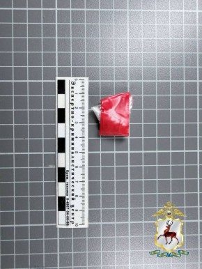 Саровчанину грозит до пятнадцати лет лишения свободы за попытку сбыта запрещенных веществ