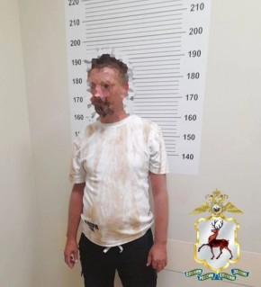 � ������� ������ ����������� ��������� ���� ������ ��������������� �������, ������� ������� 31 ���������� (� �� ����� � �����������) �� 70 ��������� ������