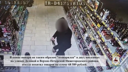 Злоумышленник, похитивший из магазинов продукцию почти на 70 000 рублей, задержан участковыми уполномоченными полиции в Нижнем Новгороде