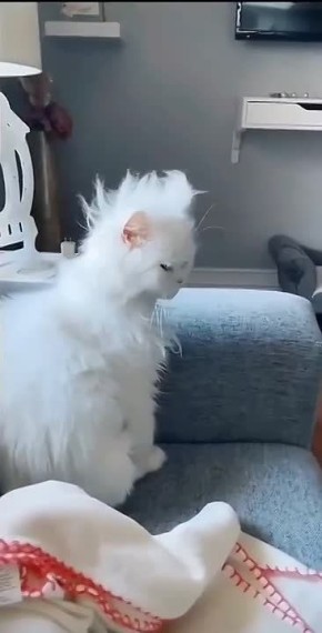 ������ �������� ����!. � �� ��� ������ ������ ����� ����