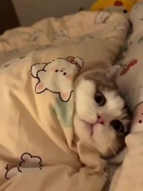 А вы почему еще не в кроватке?!