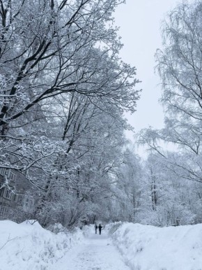 ������� � �������� ����� ������� � ������������� �������