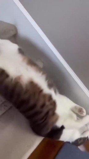 ��������� �� ����� �������� � ��������� � ������� ����� �����