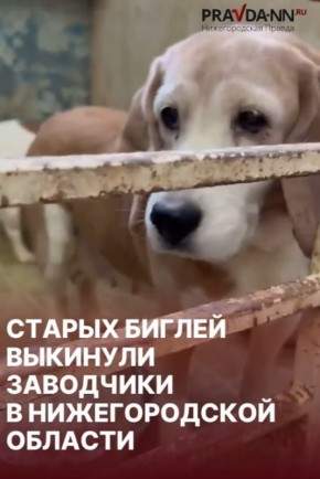 ��� ������� ������������ ���������� � ��� ���� ��������� ��������� �� ����� ��������� � ������ ����