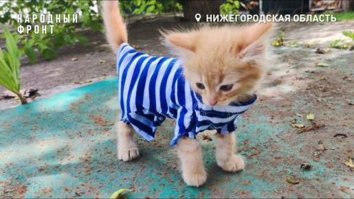 ���������, �� � ���������