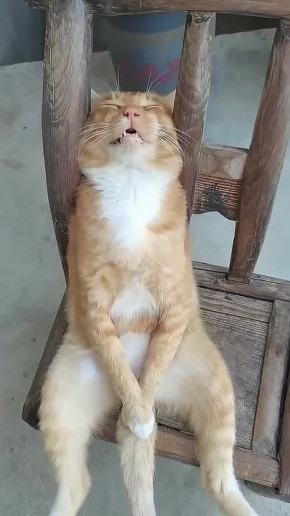 ��� ������ �������� �� �����������, � ������ � �����