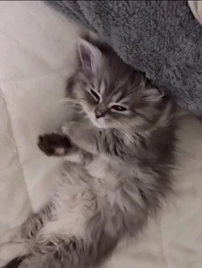 ������ ����!. ������ ����� �� ������� �� �������