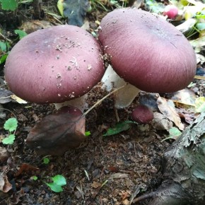 ����� � ������: ��������� � ��������� ����������