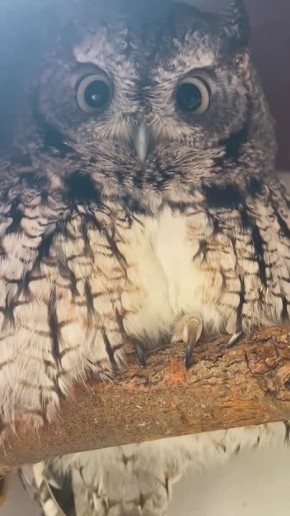 ��������� ����!. ��������� ����� ������ ����