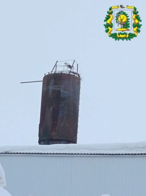 ���� ����, ������� � ����� 2024 ���� �� ������� ������� �� �� � ��������� � ����������� ������, ������ ������� ������ ����