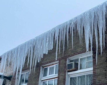 ��������� ������� ��������� ��������� ���� ����� ������� ������ �������������