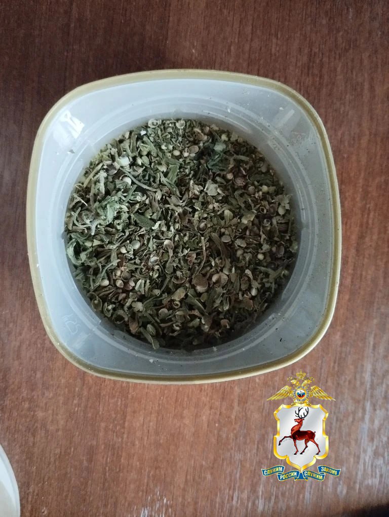 Полицейские в Шахунье пресекли деятельность «закладчика» интернет-магазина наркотиков Полицейские в Шахунье пресекли деятельность «закладчика» интернет-магазина наркотиков