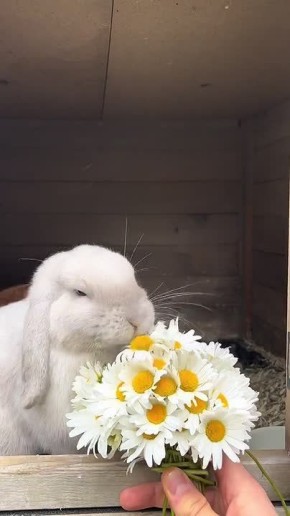 ������ ����!. � ��� ������� � ��� �� �������?) �������� ������� ������� ������� �������: VK | MAX