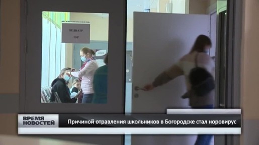Причиной отравления школьников в Богородске стал норовирус