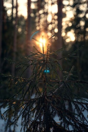 ����� ������ �� ������? ������! � ������� ��� ������ �����