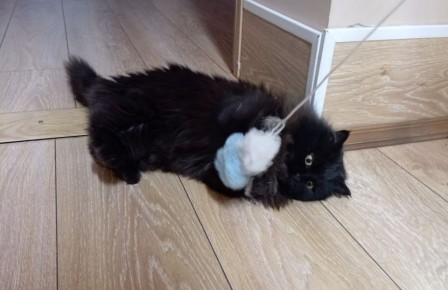 � ���������� ����������� ��������� ������� �����!